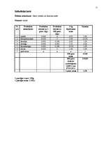 Referāts 'Banketa dokumentācijas izstrāde', 15.