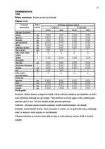 Referāts 'Banketa dokumentācijas izstrāde', 18.