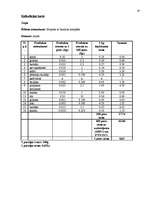 Referāts 'Banketa dokumentācijas izstrāde', 19.