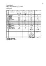 Referāts 'Banketa dokumentācijas izstrāde', 21.