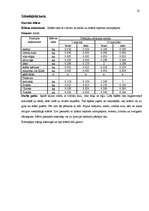 Referāts 'Banketa dokumentācijas izstrāde', 22.