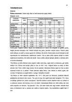 Referāts 'Banketa dokumentācijas izstrāde', 26.