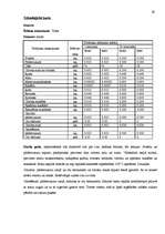 Referāts 'Banketa dokumentācijas izstrāde', 29.