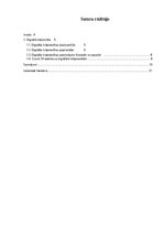 Eseja 'Digitālā krāpniecība', 1.