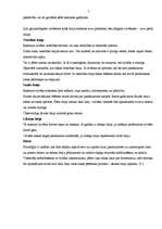 Referāts 'Cilvēka raksturs', 7.