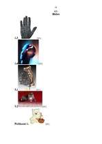 Referāts 'Cilvēka raksturs', 33.