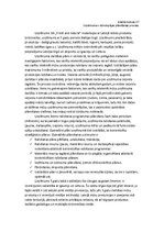 Konspekts 'Uzņēmuma "X" dzīvotspējas plānošanas process', 1.