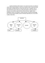 Konspekts 'Uzņēmuma "X" dzīvotspējas plānošanas process', 2.