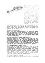 Konspekts 'Latvijas pilis', 6.