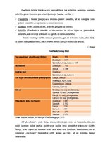 Prakses atskaite 'Prakses atskaite AS "Swedbank"', 4.