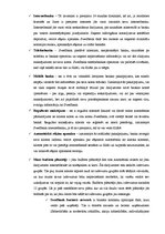 Prakses atskaite 'Prakses atskaite AS "Swedbank"', 14.