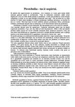 Eseja 'Pirotehnika - tas ir nopietni', 1.