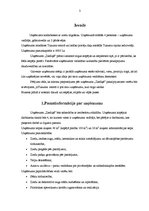 Biznesa plāns 'Uzņēmums "Ziediņš"', 3.