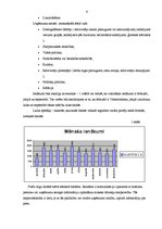 Biznesa plāns 'Uzņēmums "Ziediņš"', 6.