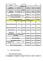 Biznesa plāns 'Разработка проэкта', 12.