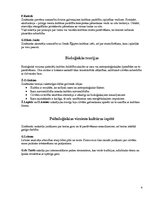 Konspekts 'Kultūras teorijas', 3.