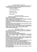 Konspekts 'Tiesībsargājošo iestāžu sistēma', 41.