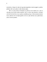 Eseja 'Mazā biznesa jēdziens un loma ekonomikā', 8.