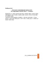 Paraugs 'Darba aizsardzības instrukcija darbam ar datoru', 10.