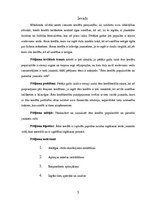 Referāts 'Ātro kredītu popularitāte un pieredze jauniešu vidū', 3.