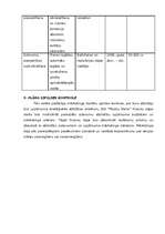 Referāts 'SIA "Mediju nams" mārketinga plāns', 9.