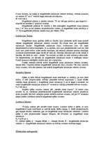 Konspekts 'Magnētiskais lauks', 2.