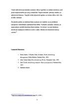 Referāts 'Konflikti Latvijas reklāmas tirgū', 11.