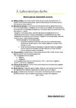 Konspekts 'Motora galvenie raksturojošie elementi', 1.