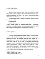 Referāts 'Īpašuma iegūšanas veidi', 6.