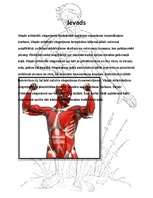 Referāts 'Vispārattīstošie vingrojumi sportā', 2.