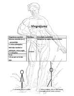 Referāts 'Vispārattīstošie vingrojumi sportā', 4.