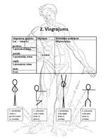 Referāts 'Vispārattīstošie vingrojumi sportā', 5.