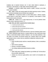 Diplomdarbs 'Viesnīcas "Elounda Bay Palace" viesu apmierinātības izvērtējums', 43.