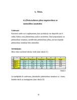 Konspekts 'Datormācība ekonomistiem', 29.