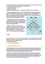 Referāts 'Gēnu mijiedarbības veidi', 3.