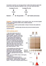 Referāts 'Gēnu mijiedarbības veidi', 5.