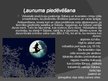 Prezentācija 'Maģija viduslaikos', 9.