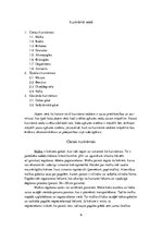 Referāts 'Krāšņu kurināmais: cietais, šķidrais, gāzveida. To raksturojumi, pielietojums', 6.