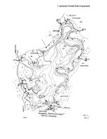 Referāts 'Sventes un Briģenes ezera zooplanktona vertikālais izvietojums', 51.