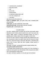 Konspekts 'Lomu spēles', 2.