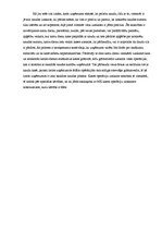 Konspekts 'Grāmatvedības loma uzņēmējdarbībā', 2.