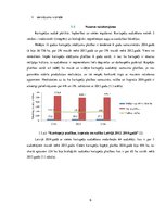 Biznesa plāns 'Cietes kartupeļu audzēšana ZS "Āres"', 6.