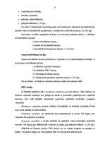 Referāts 'Motivācija uzņēmumā X', 13.