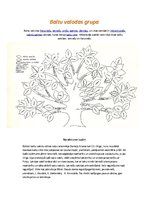 Konspekts 'Baltu valodu saime', 1.