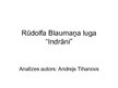 Prezentācija 'Rūdolfa Blaumaņa luga "Indrāni"', 1.
