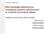 Referāts 'Sirds patoloģiju izplatība un to nozīmīgums jauniešu vidū Kurzemē, to veicinošie', 25.