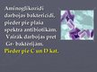 Prezentācija 'Aminoglikozidi', 2.