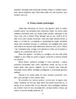 Referāts 'Rozā krāsa', 6.