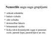 Prezentācija 'Latvijas bioģeogrāfiskais raksturojums - fauna un flora (bioģeogrāfija)', 8.