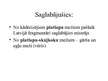 Prezentācija 'Latvijas bioģeogrāfiskais raksturojums - fauna un flora (bioģeogrāfija)', 10.